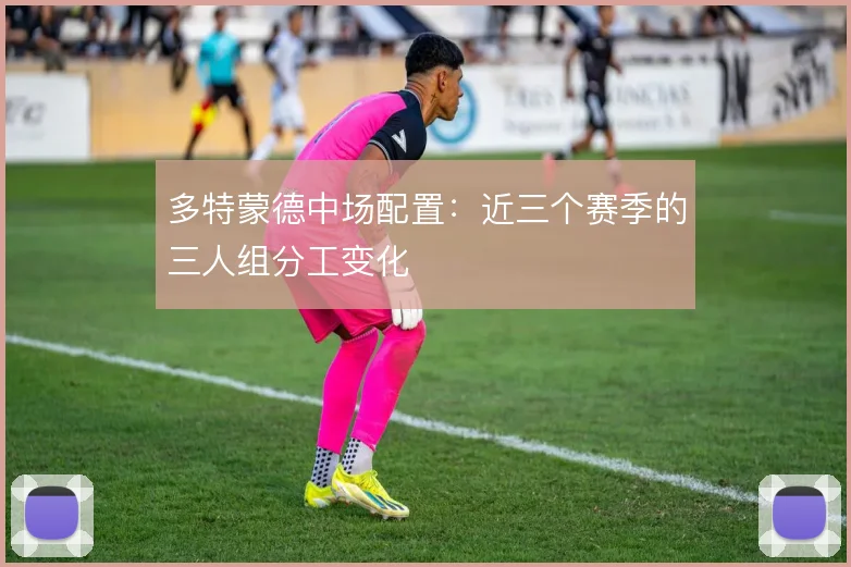 多特蒙德中场配置：近三个赛季的三人组分工变化