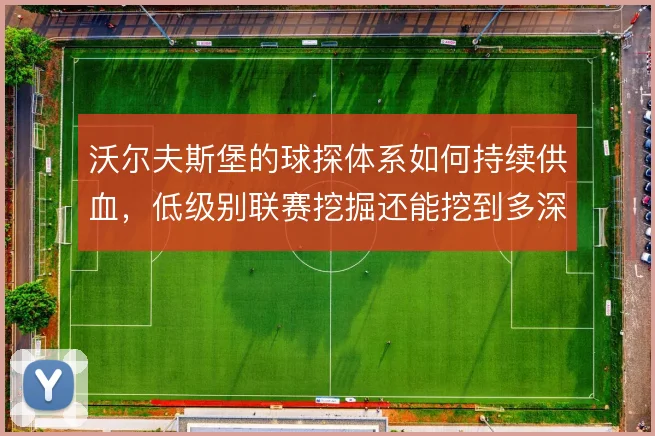 沃尔夫斯堡的球探体系如何持续供血，低级别联赛挖掘还能挖到多深