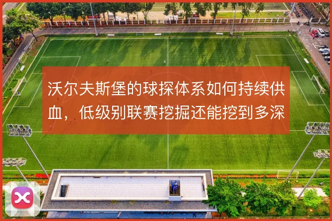 沃尔夫斯堡的球探体系如何持续供血，低级别联赛挖掘还能挖到多深